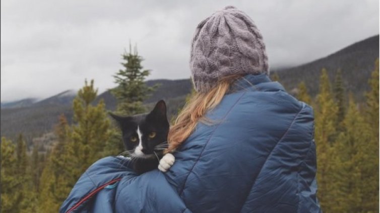 Котка от Колорадо покорява върхове със стопаните си
