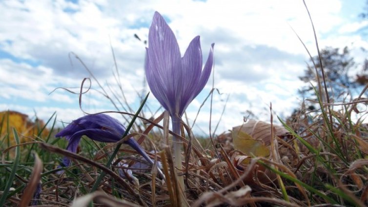 Денят в снимки &ndash; 10 ноември