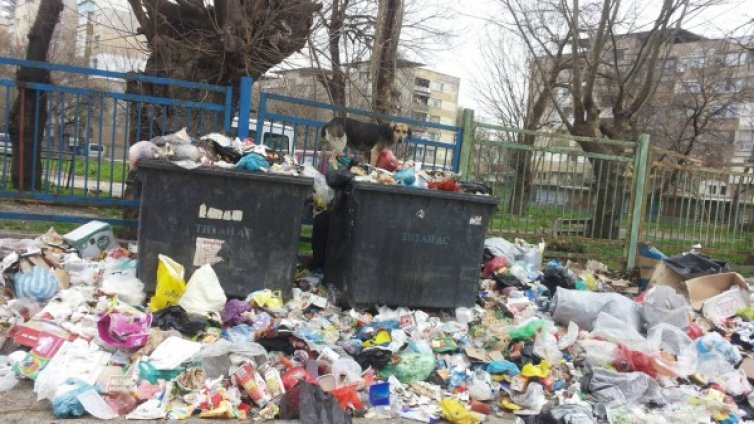Без миризми: Столичните кофи за боклук потъват!