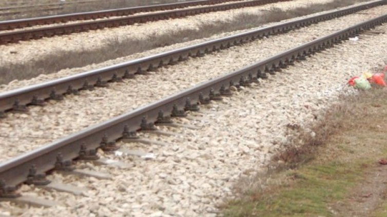 Преди Горна баня: Влакът за Перник блъсна и уби крава