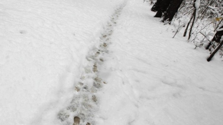 Спирките на градския транспорт &ndash; чисти. А леда по тротоарите?