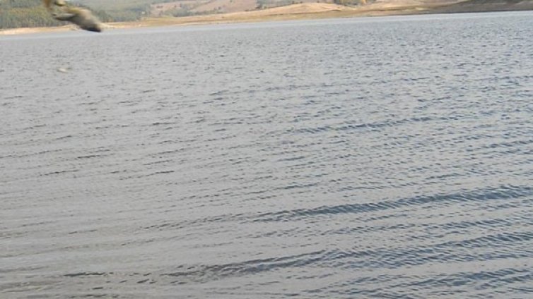 804 - потенциално опасните язовири у нас