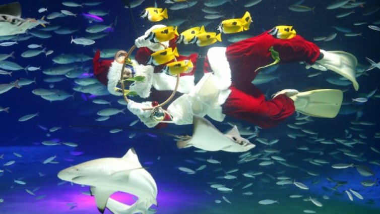 Денят в снимки &ndash; 6 декември