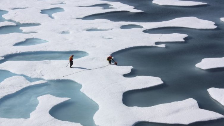 Тревожно! Арктика изпраща най-топлата година от 1900 г.