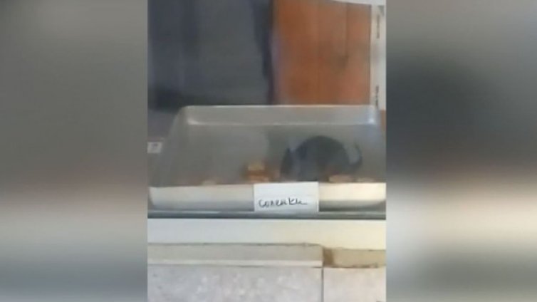 Ах, хубава, мазна баничка! И един плъх е минал по тавите преди това...