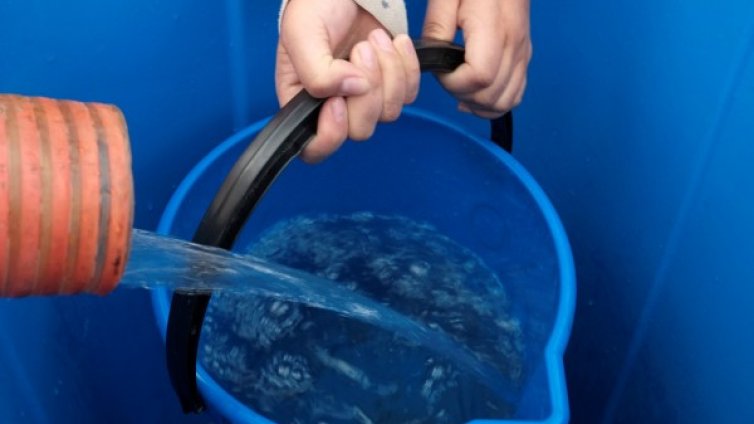 Пет добри новини през 2016 г., които може да сте пропуснали