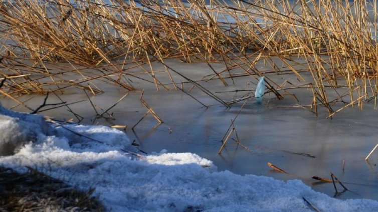 Не ловете риба в "Сребърна",  езерото стана опасно!