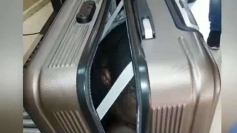 Какво ли има в този куфар? 19-годишен бежанец!