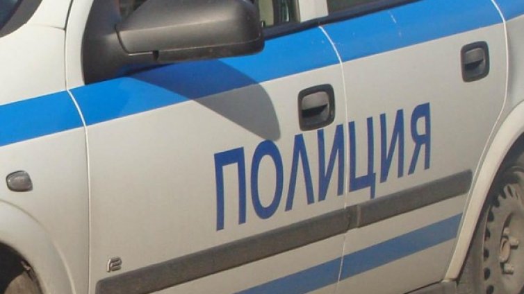 Трима нахлуха с пистолет и бухалка в къща във Видинско