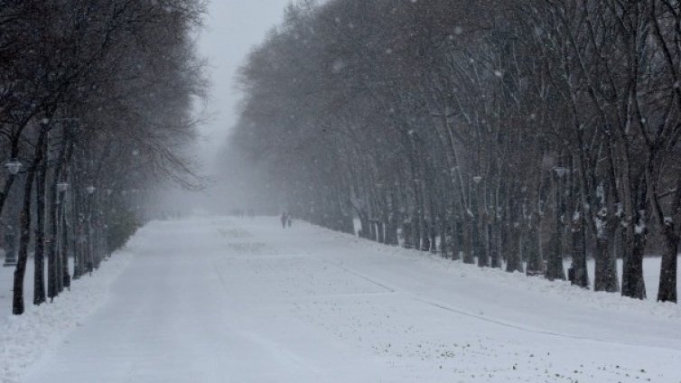 295 селища са без ток &ndash; в Сливен, Добрич, Силистра...