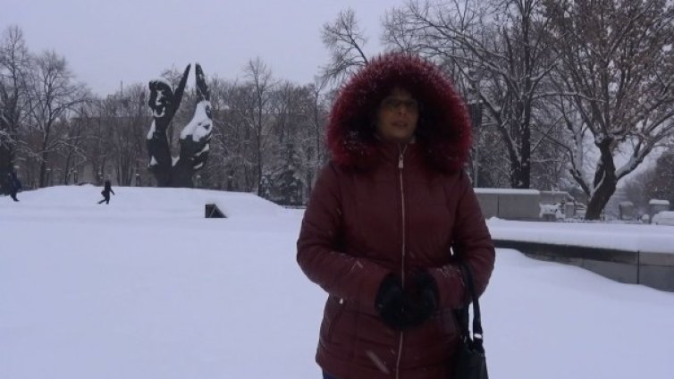 Заради зоокъта: Поискаха оставката на пловдивския кмет