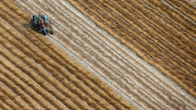 Четири гиганта на трапезата! Кой е господарят на храната ни? 