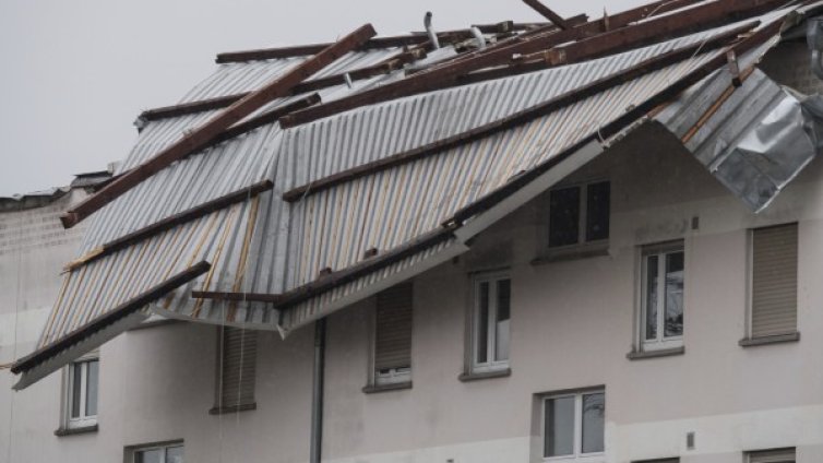 Дърво падна и уби жена пред децата й в Ница 