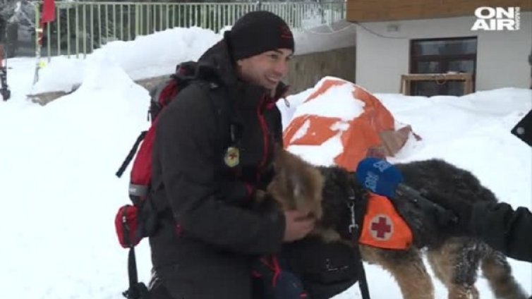 Четириногите спасители в планината &ndash; бързи, смели...