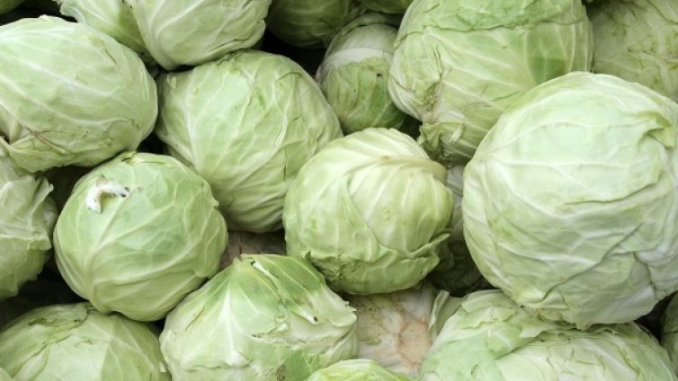 Измамиха перничанин с 5 000 лева, дадоха му зелки