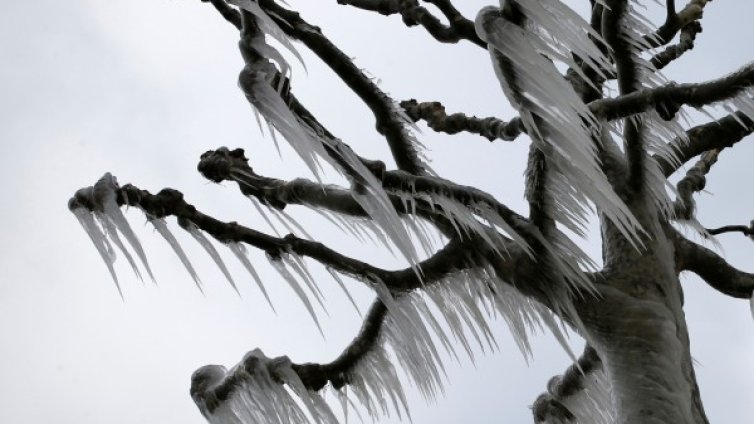 Ледени дни до идния понеделник &ndash; минус 20&deg;C, без снеговалежи