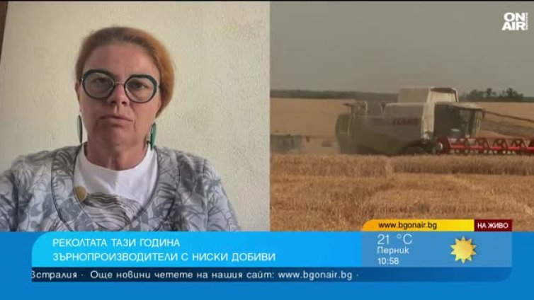 Житницата на България е съсипана, ще има фалити