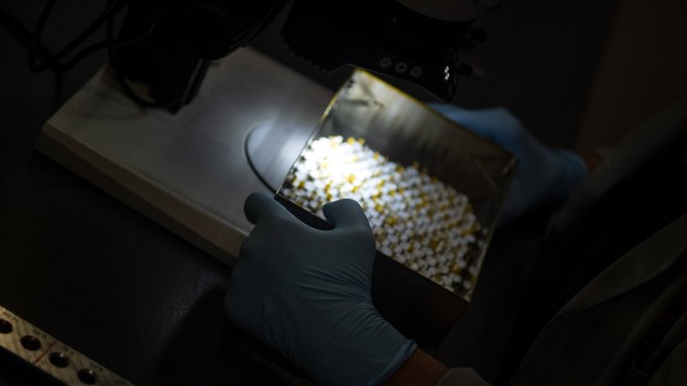 Създадоха полимер, подходящ за печат на изкуствени органи