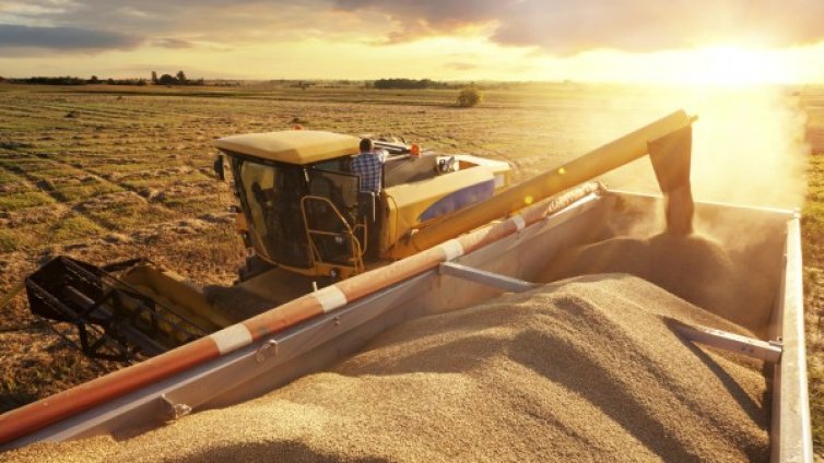Продават земя на разсрочено плащане