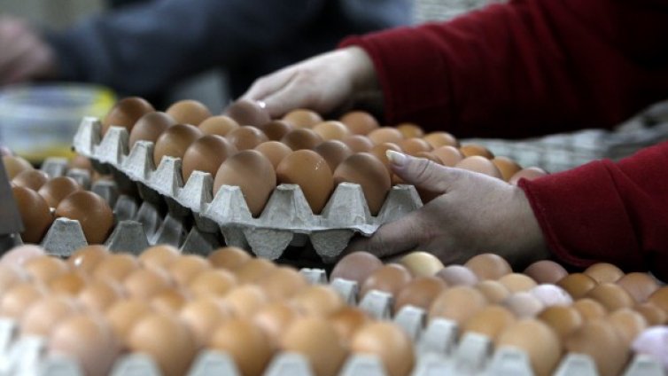 Русия забрани птичи продукти от България заради птичия грип