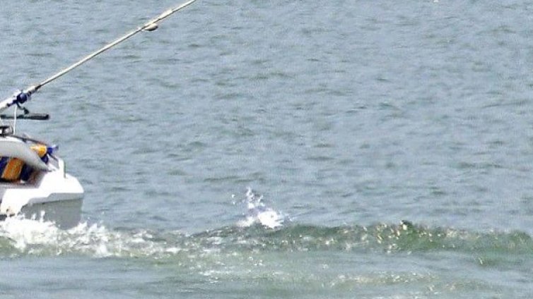 ВМРО закриля полицай, защитил ни от турски бракониери