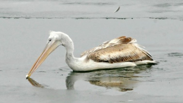 Времето утре: Студено, без валежи, до -10 градуса