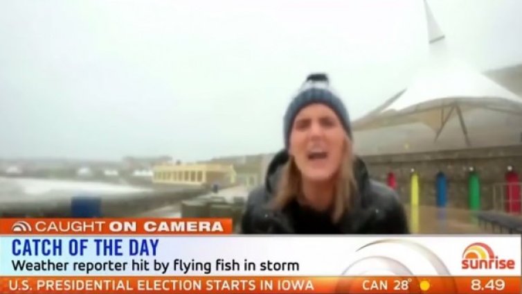 Пряко включване: Перфектната буря...