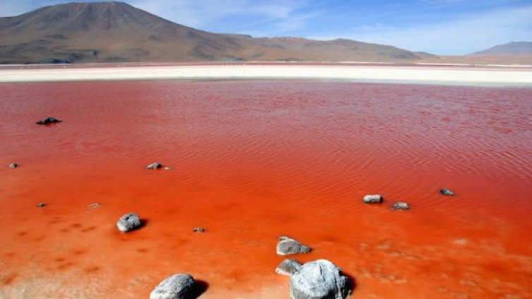 Уникални кадри, които спират дъха