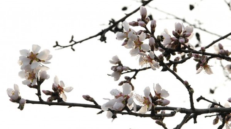 Дъжд и облаци до обяд, температурите &ndash; до 14&deg;С