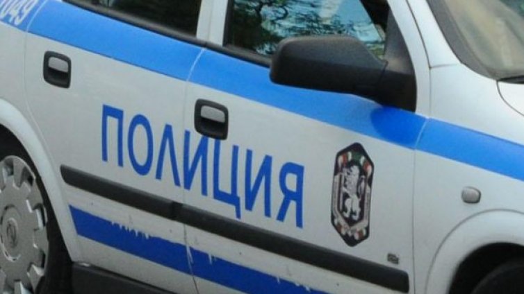 МВР и ДАНС погнаха нелегалните мигранти в София