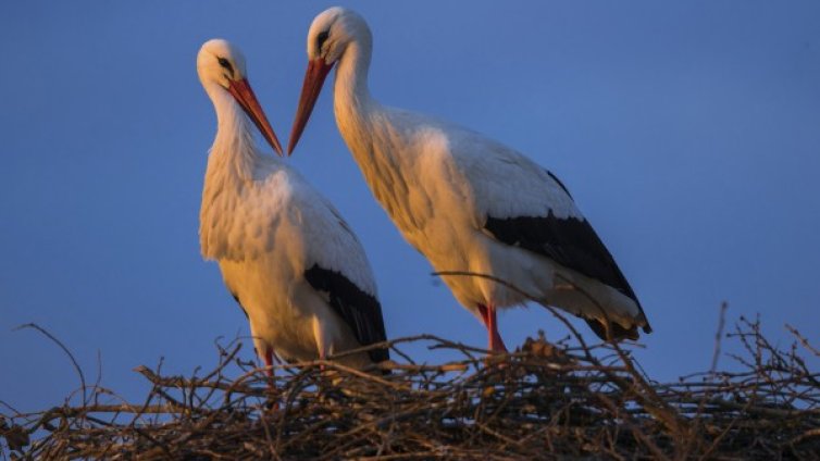 Денят в снимки – 14 март