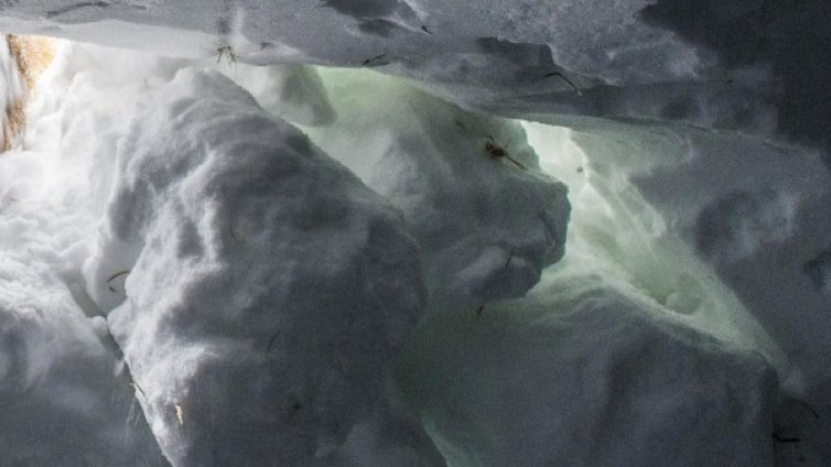 Затрупаният от лавина &ndash; намерен, реанимират го