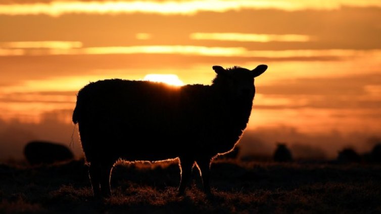 Април идва със слаб мраз, по Великден ще е над 15&deg;C