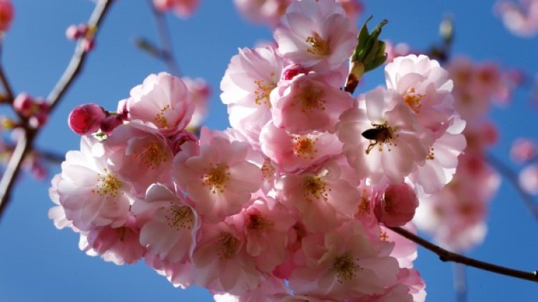 Времето и днес слънчево, температурите &ndash; до 25 градуса