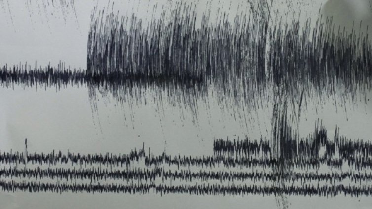Земетресение в Бали уплаши туристи и местни