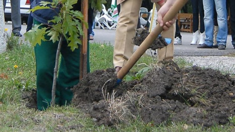 Засадиха над 3300 фиданки около Прохода на републиката