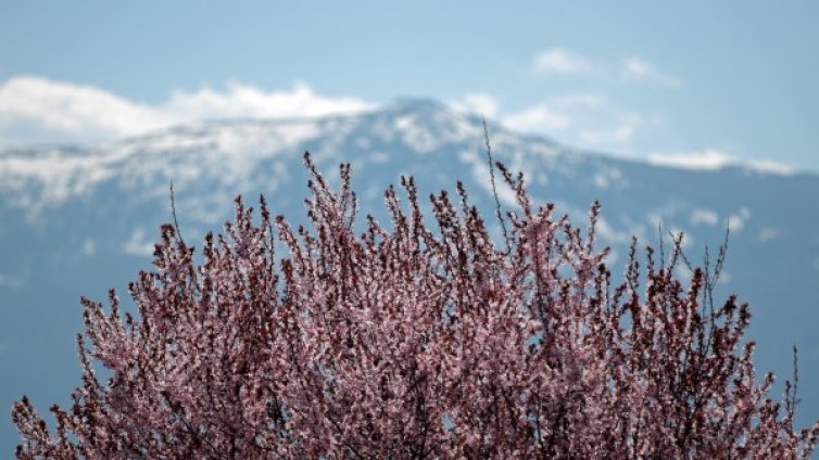 Времето в петък: На Запад облаци, термометрите &ndash; до 17&deg;C