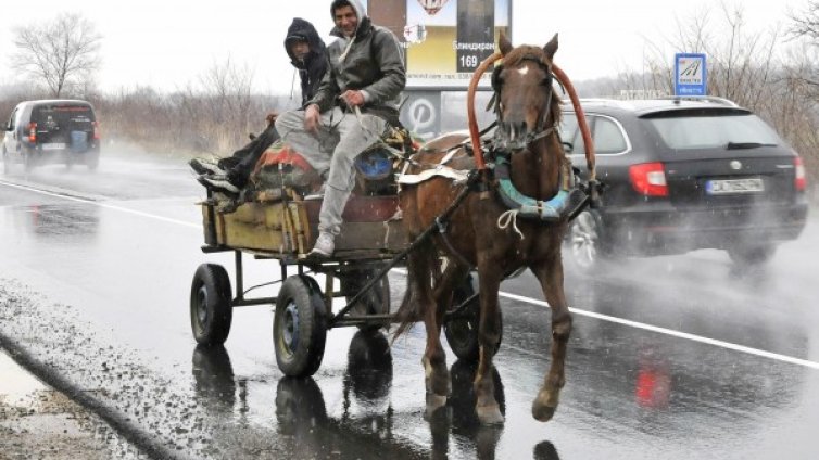 Роми във Враца на бунт: Как така без каруци в града?