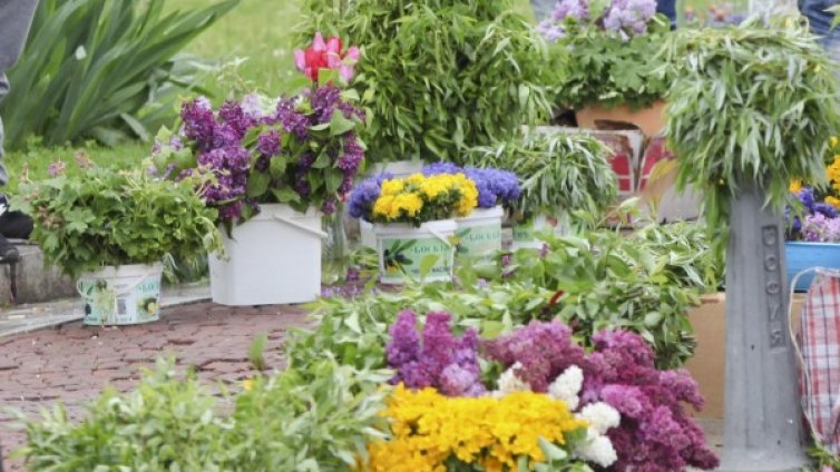 Цветя и клонки наберете, у дома ги отнесете&hellip; Цветница е!