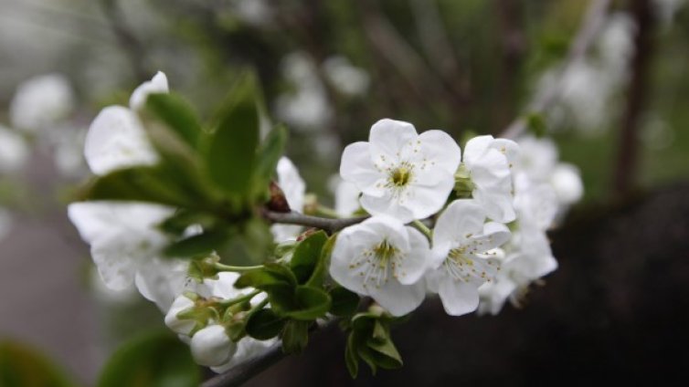 Топло време и слънчице за идващия Великден