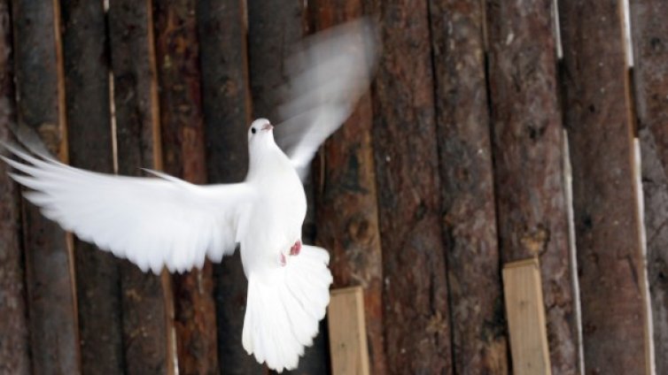 Има и ад, и рай, и Бог, и душа... Хората вярват в това