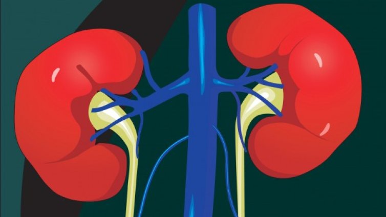 Нетипични симптоми на бъбречни заболявания