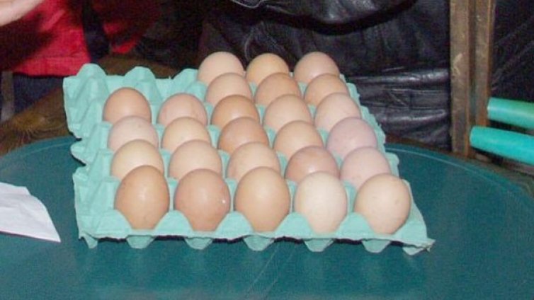Ядем средно по 2 кг агнешко и 250 яйца за година