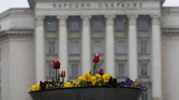 Весела Коледа! Денят, в който снегът ни изненада