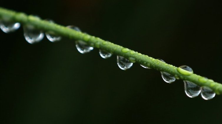 Какво ни гласи май: И бури, и градушки &ndash; възможни