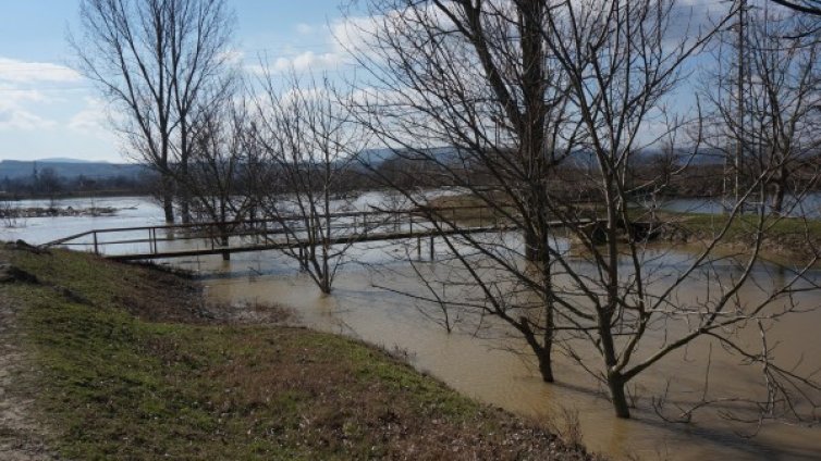 Наводнени къщи, умрели животни: Врачанско след пороя