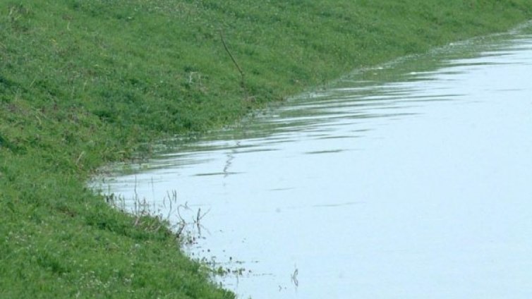 Без прохлада: Забраниха къпането в Дунав край Видин