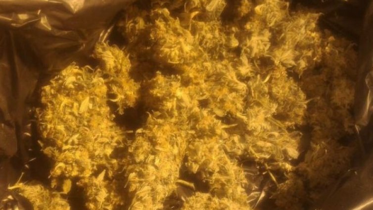 Полицаи иззеха кило марихуана от дом в Поморие