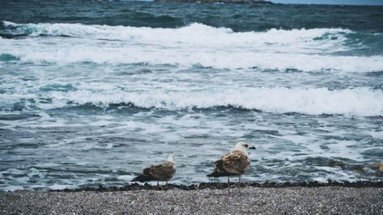 Знаете ли, че... Черно море е свързано с историята за Ноевия ковчег?