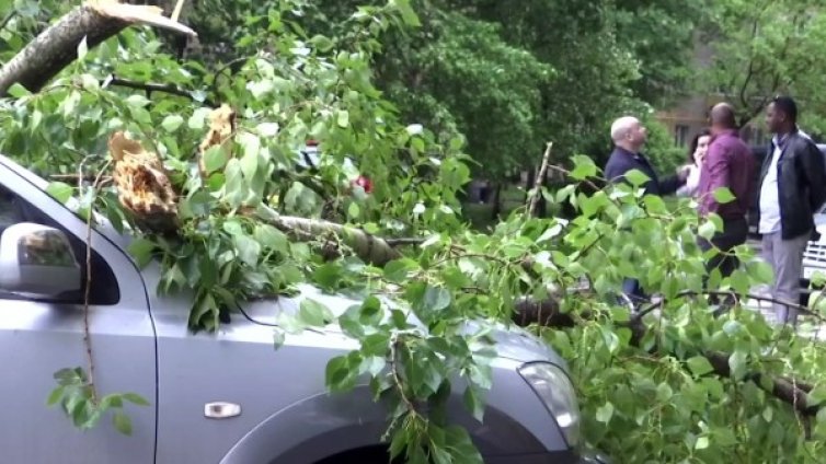 След урагана в Москва: 150 в болница, 11 жертви